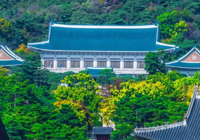 korean activity 5