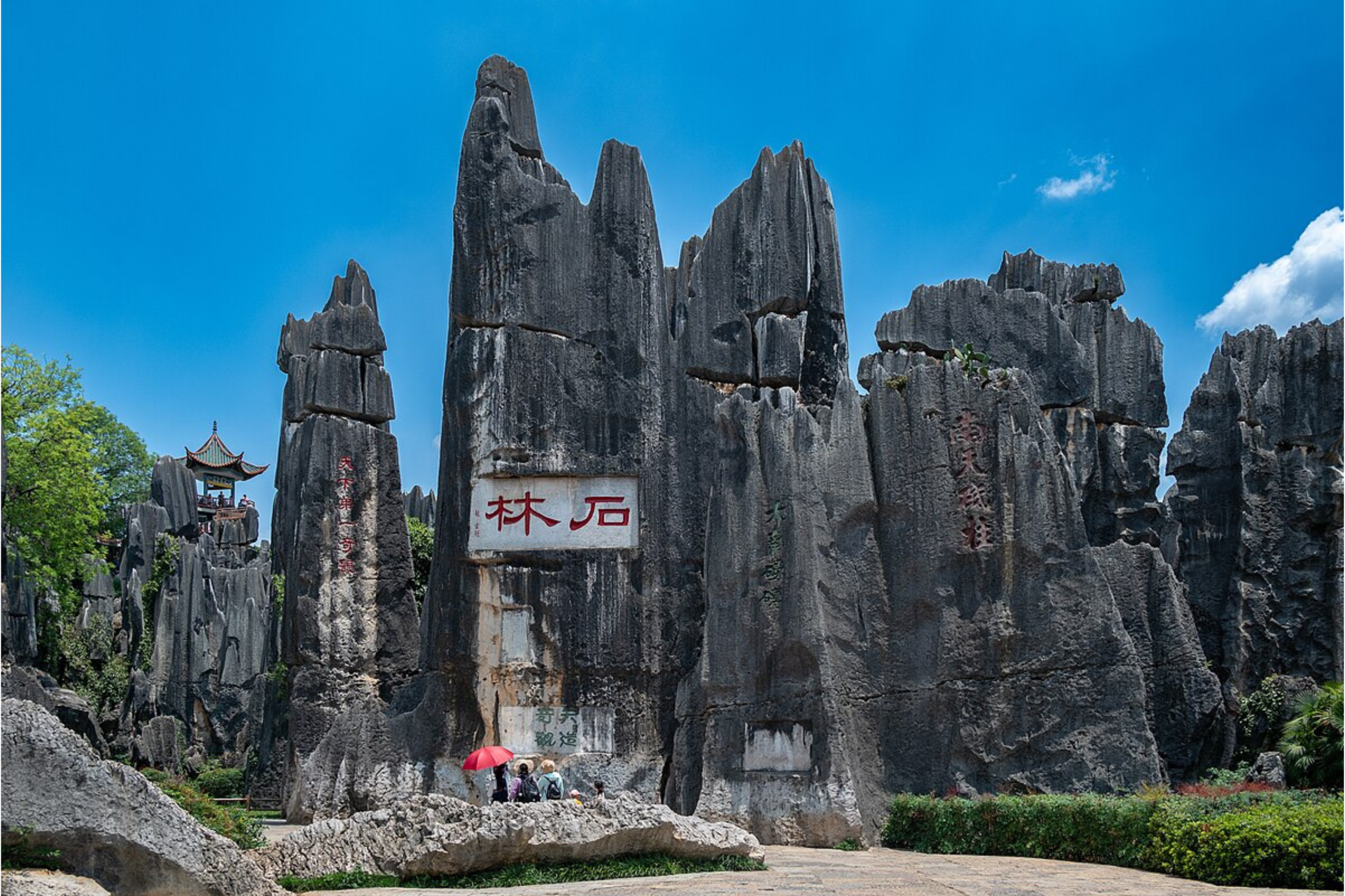 Black Stone Forest