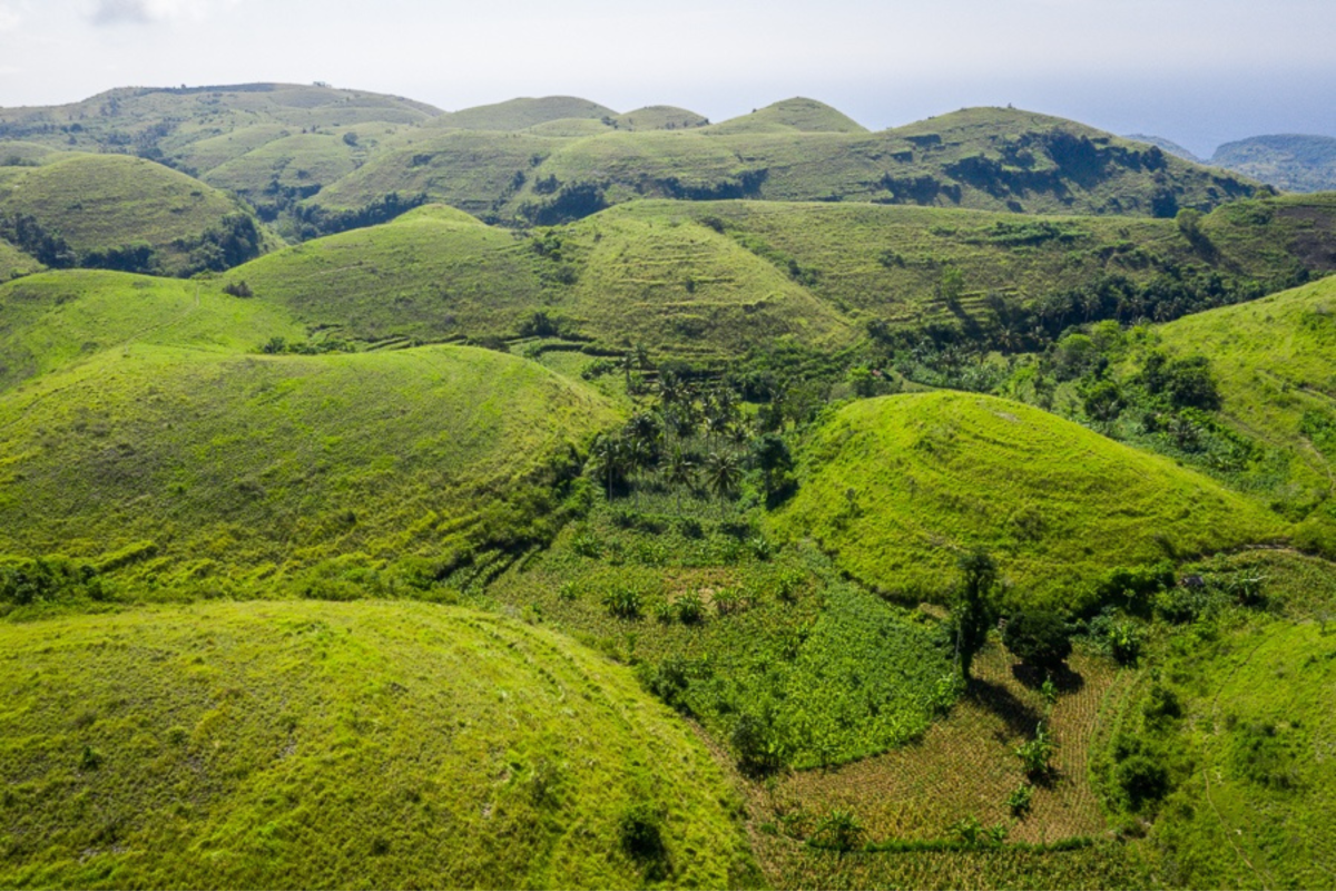 Bukit Telitubis