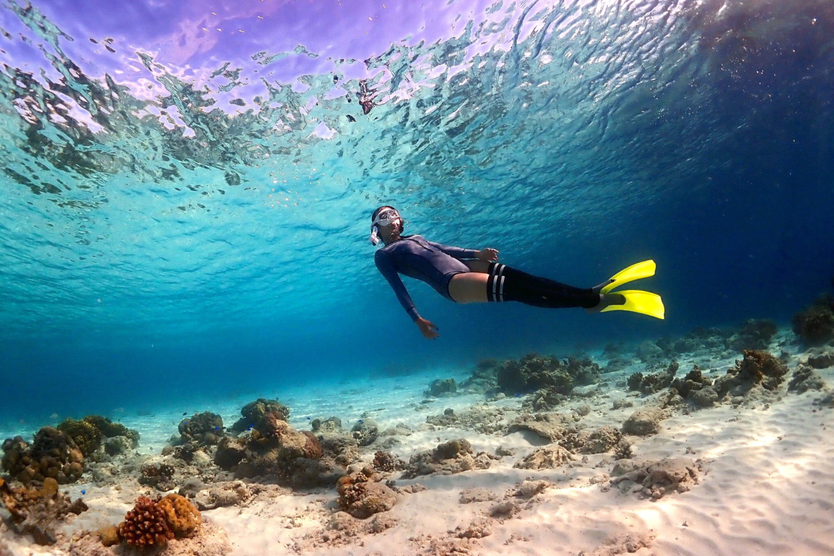 Snorkeling Trip