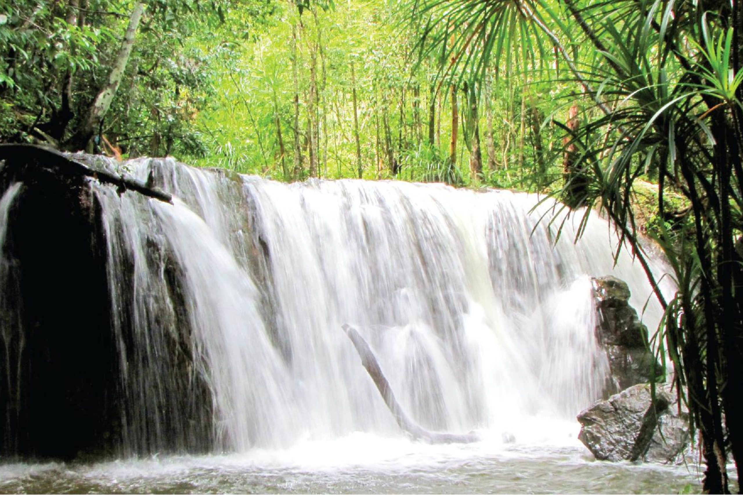 Tranh Stream
