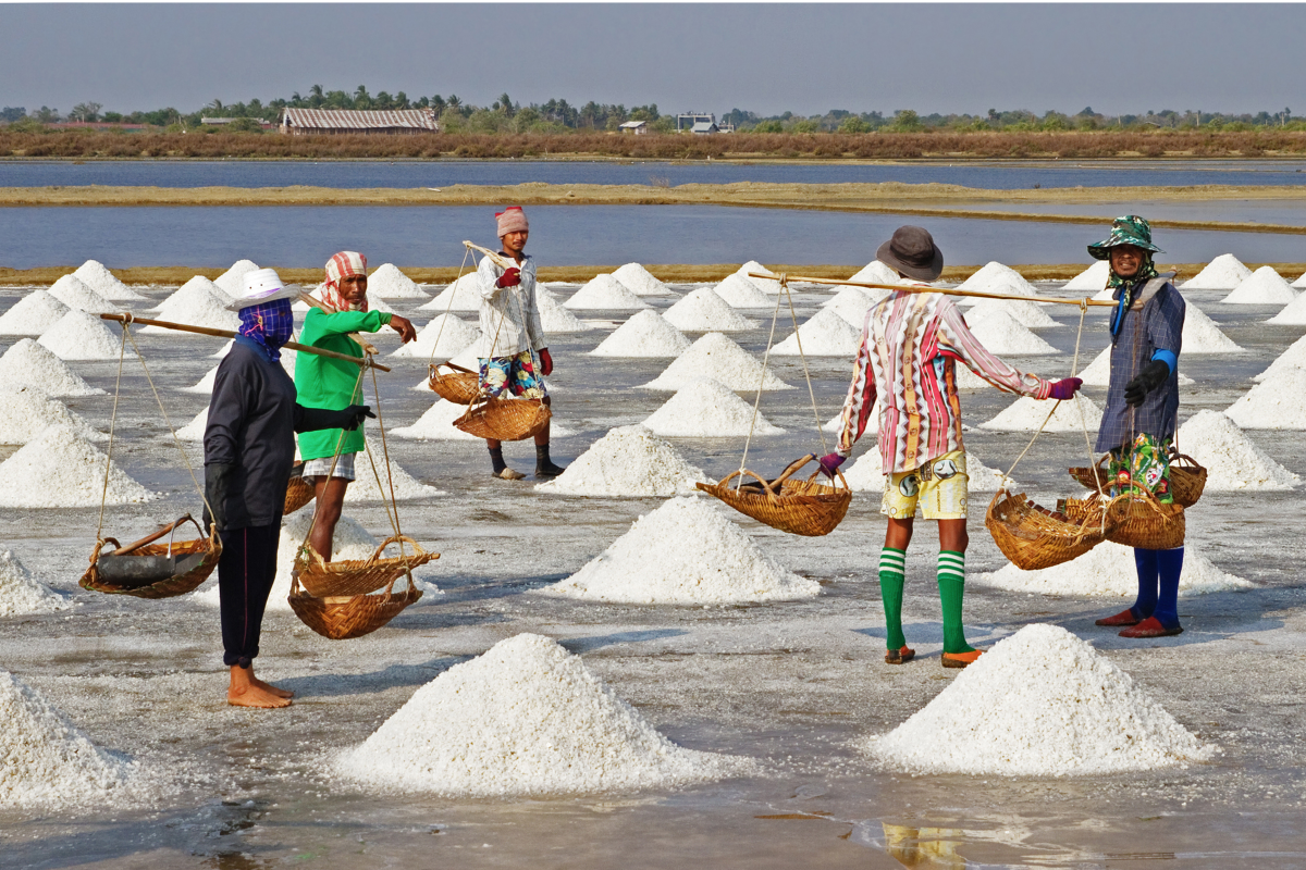 Sweet Salt Industry